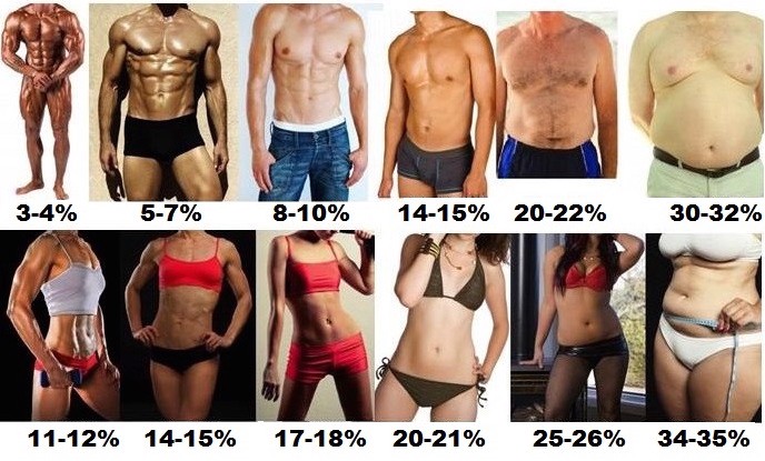 https://www.trulyhuge.com/images/body-fat-percentage-calculator.jpg