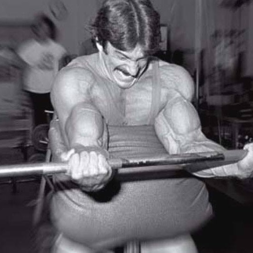 Mike Mentzer S Big Arm Workout Routine