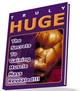 bodybuilding books